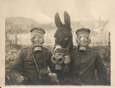 image-1-7
