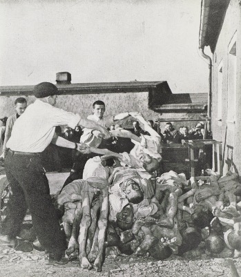 image-2-1